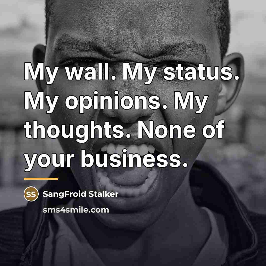 “My wall. My status. My opinions. My thoughts. None of…” quote by SangFroid Stalker