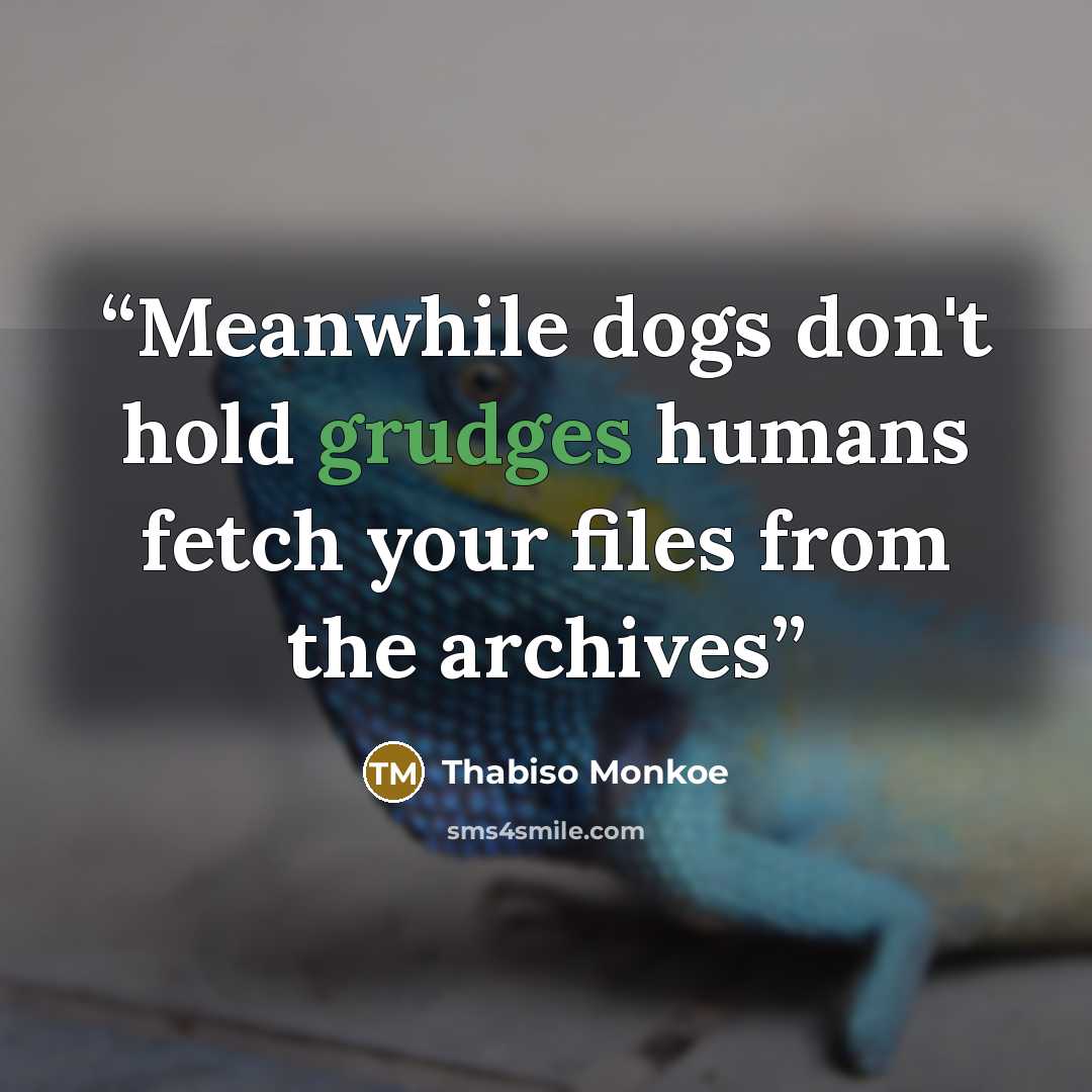 “Meanwhile dogs don't hold grudges humans fetch your files from the archives” quote by Thabiso Monkoe
