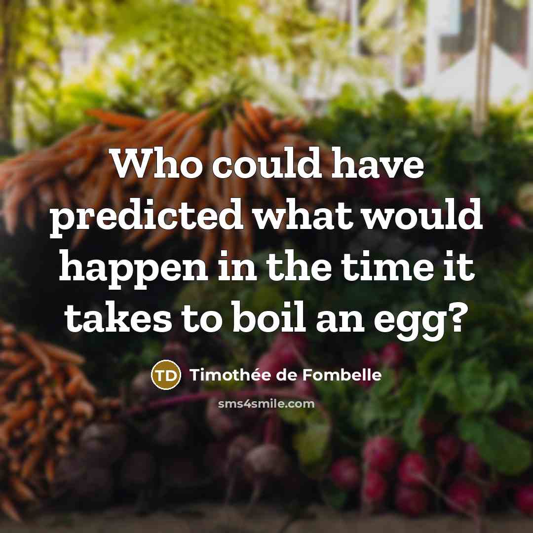 “Who could have predicted what would happen in the time it takes to boil an egg?” quote by Timothee de Fombelle