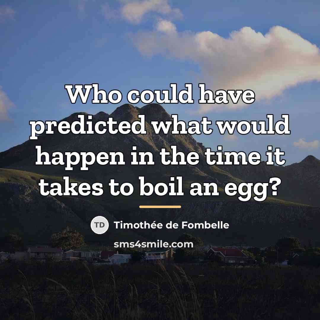 “Who could have predicted what would happen in the time…” quote by Timothee de Fombelle
