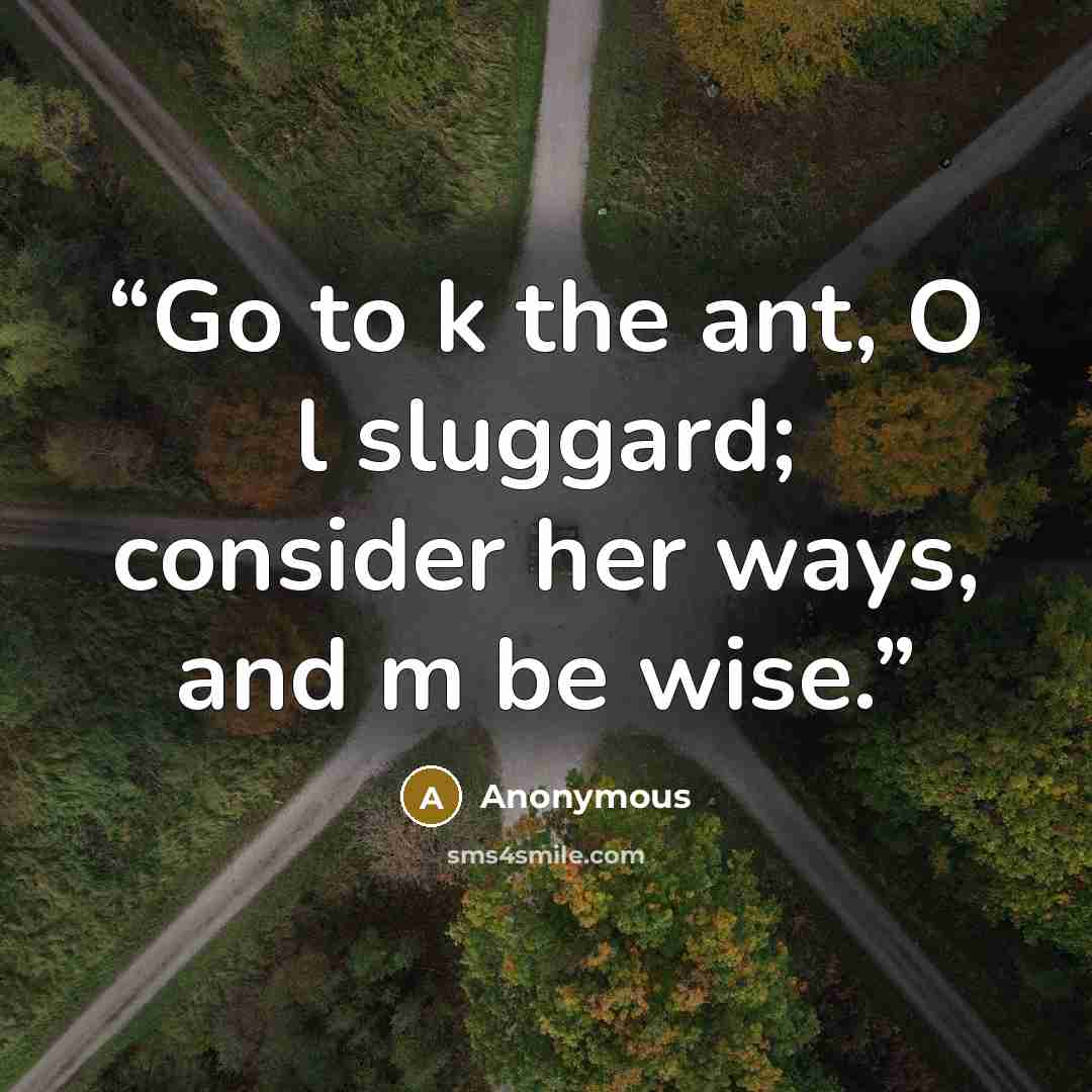 “Go to k the ant, O l sluggard; consider her ways, and m be wise.” quote by Anonymous