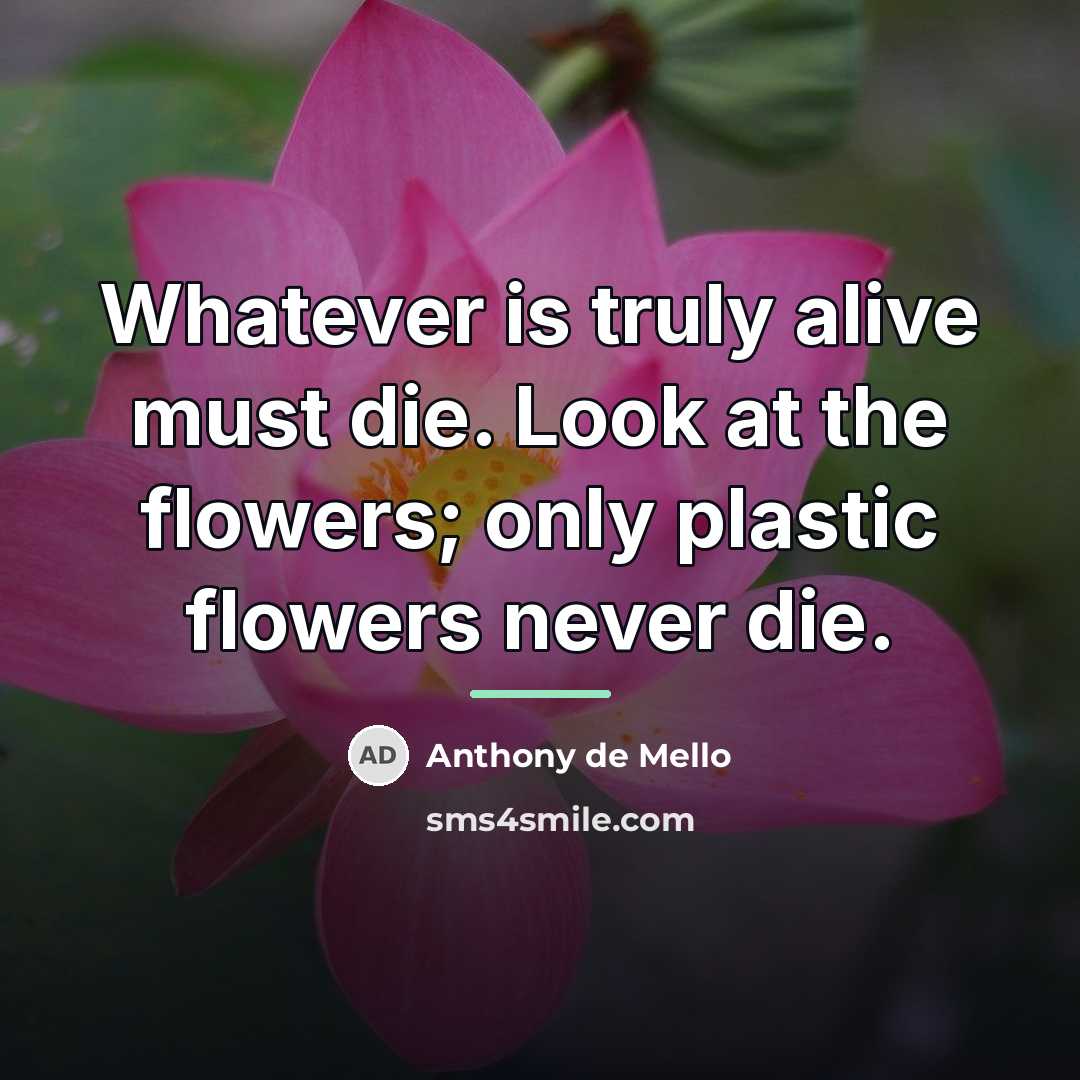 “Whatever is truly alive must die. Look at the flowers;…” quote by Anthony de Mello
