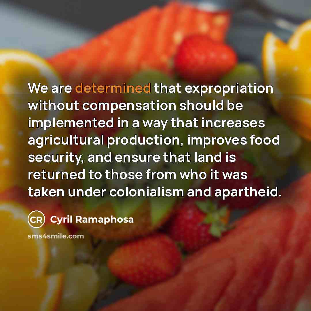 “We are determined that expropriation without compensation should be implemented…” quote by Cyril Ramaphosa