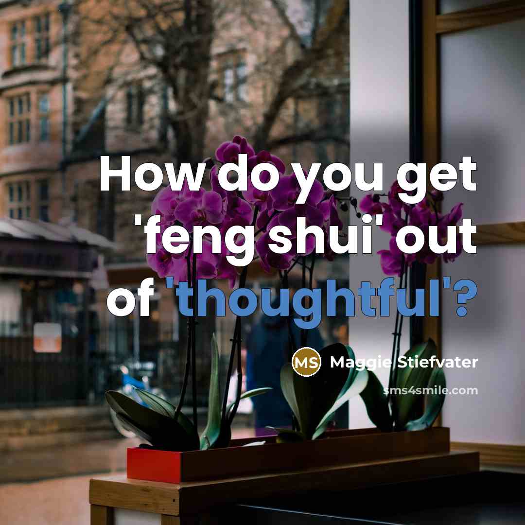 “How do you get 'feng shui' out of 'thoughtful'?…” quote by Maggie Stiefvater