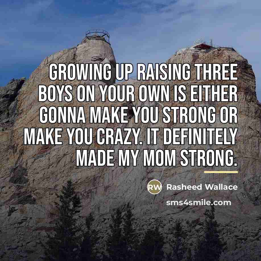 “Growing up raising three boys on your own is either…” quote by Rasheed Wallace