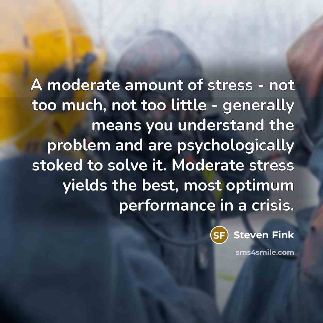 “A moderate amount of stress - not too much, not…” quote by Steven Fink