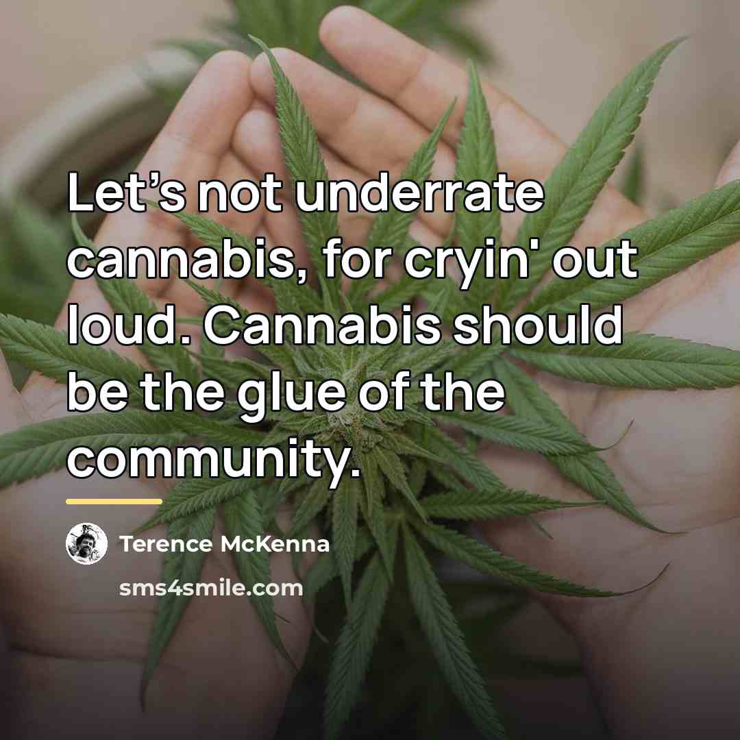“Let's not underrate cannabis, for cryin' out loud. Cannabis should…” quote by Terence McKenna