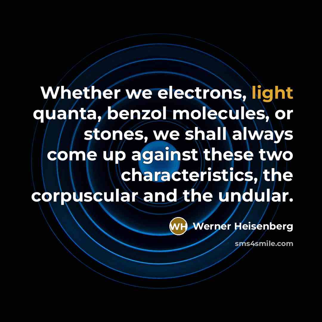 “Whether we electrons, light quanta, benzol molecules, or stones, we…” quote by Werner Heisenberg