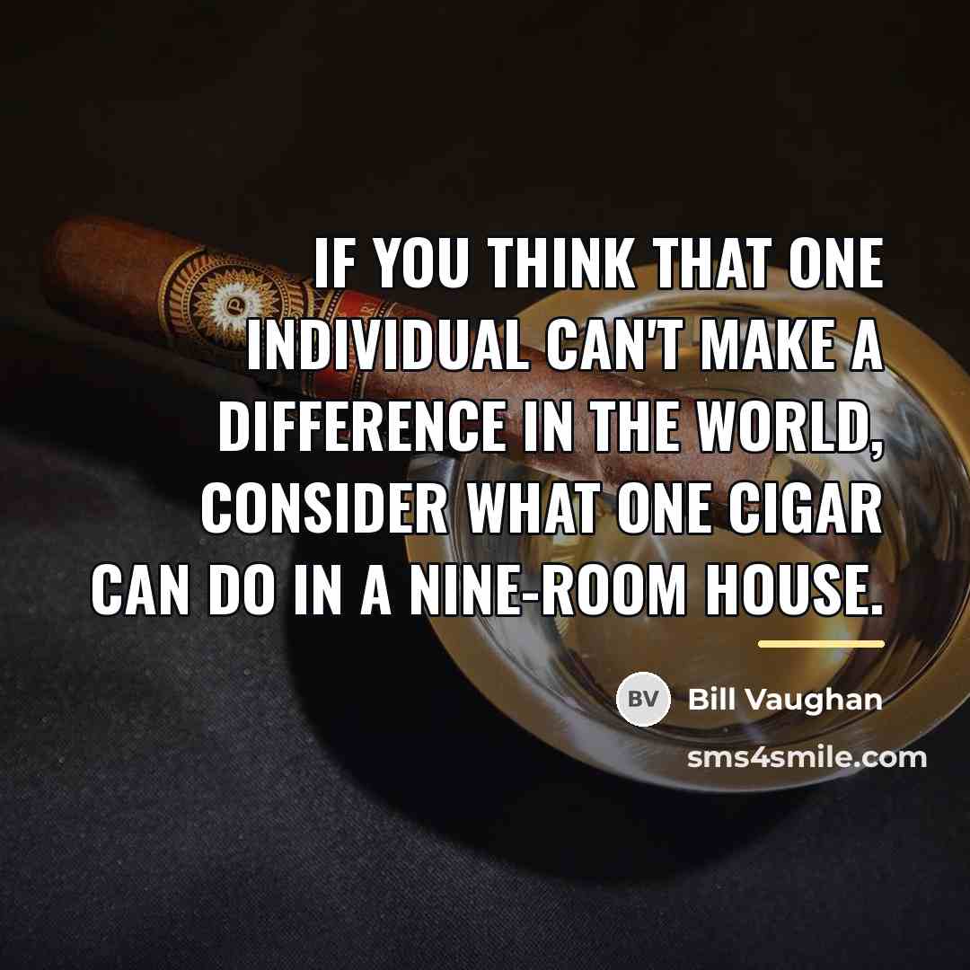 “If you think that one individual can't make a difference…” quote by Bill Vaughan