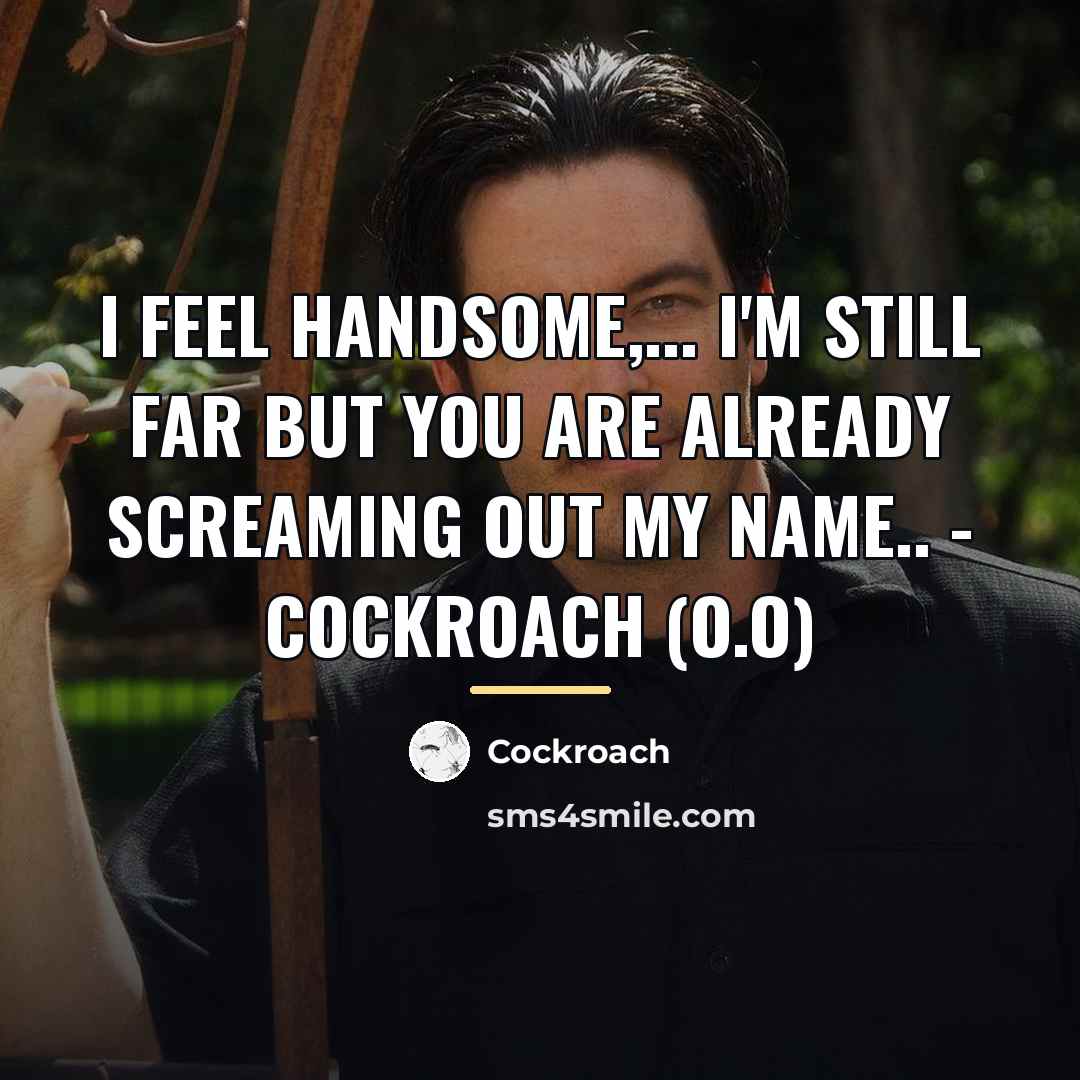 “I feel handsome,... I'm still far but you are already…” quote by Cockroach