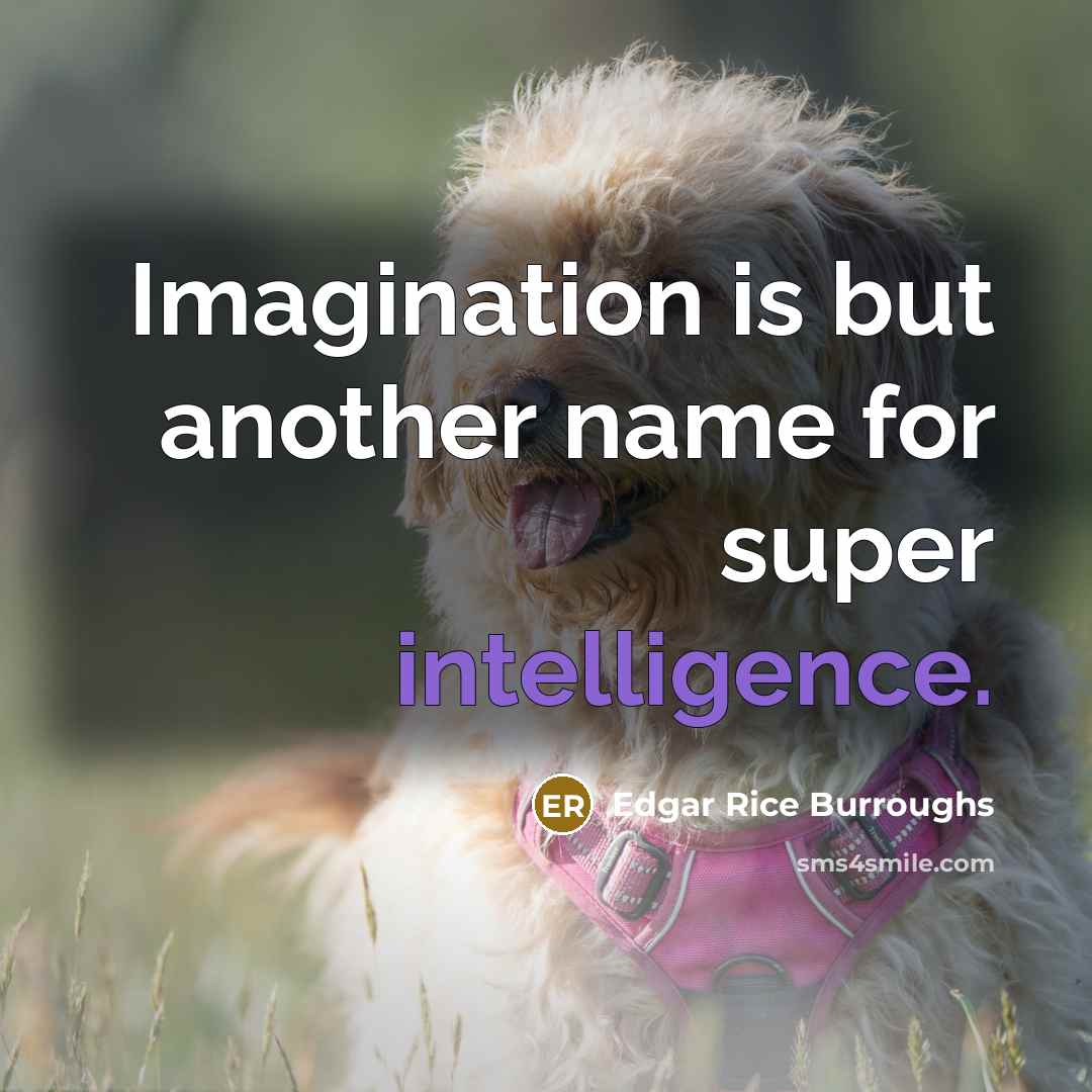 “Imagination is but another name for super intelligence.…” quote by Edgar Rice Burroughs