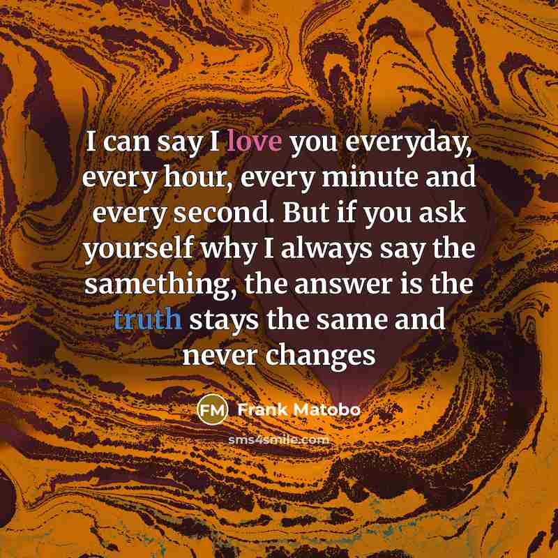 “I can say I love you everyday, every hour, every…” quote by Frank Matobo