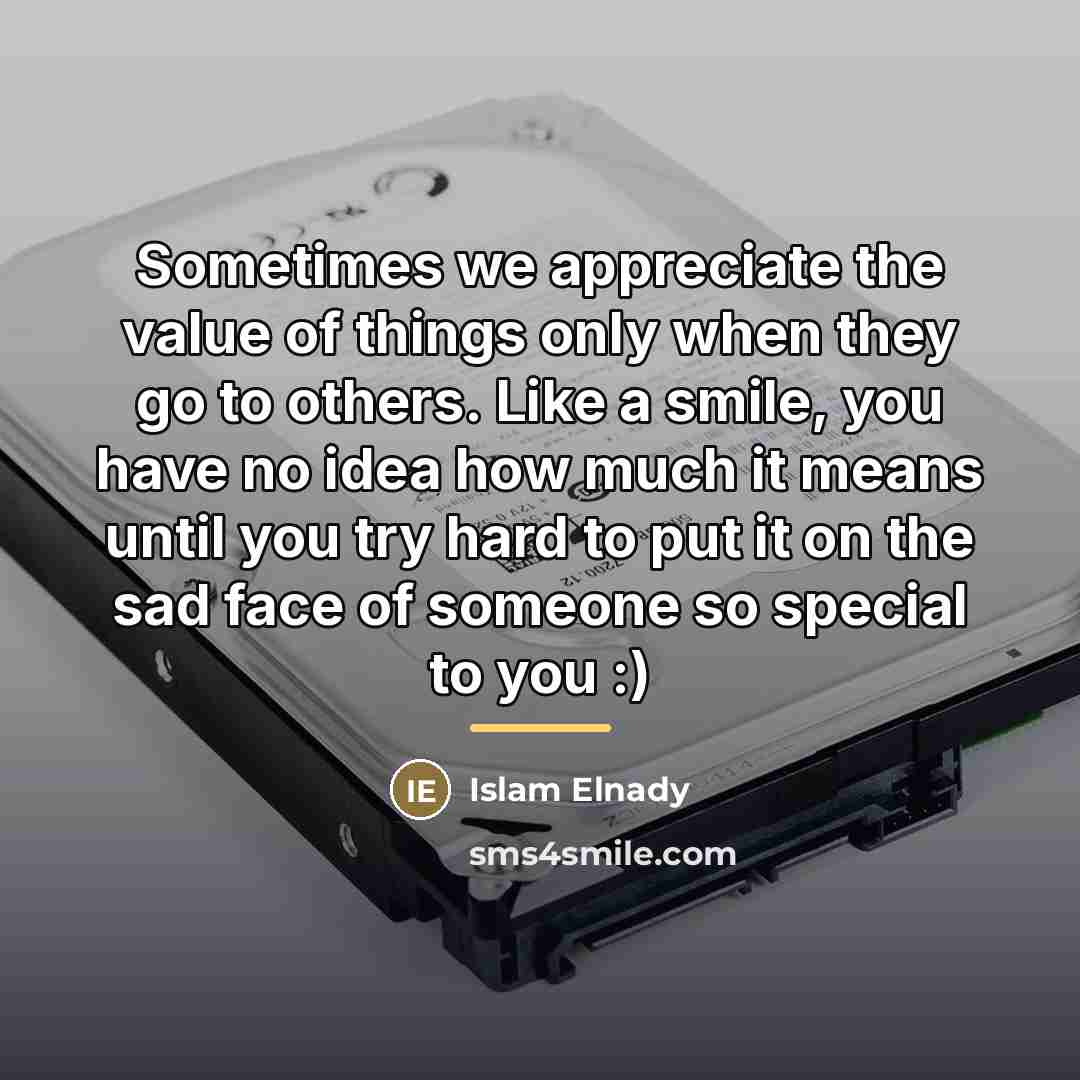 “Sometimes we appreciate the value of things only when they…” quote by Islam Elnady