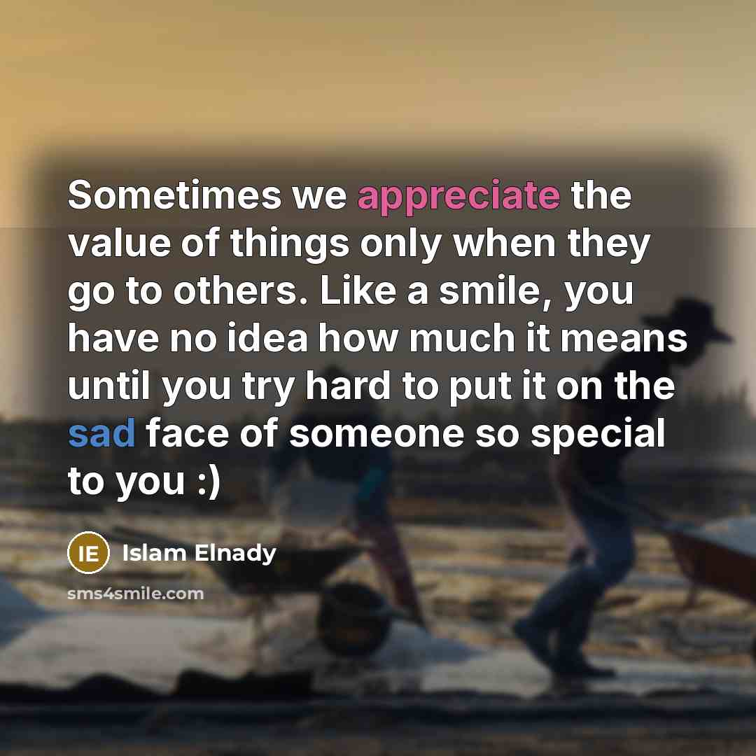 “Sometimes we appreciate the value of things only when they go to others. Like a smile, you have no idea how much it means until you try hard to put it on the sad face of someone so special to you :)” quote by Islam Elnady