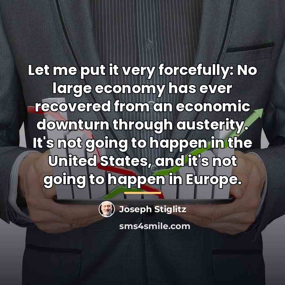 “Let me put it very forcefully: No large economy has…” quote by Joseph Stiglitz