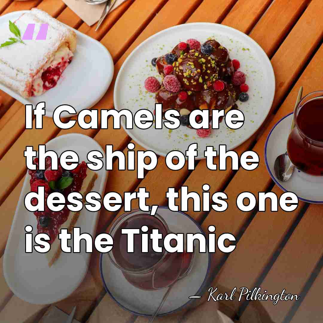 If Camels are the ship of the dessert, this one is the&hellip; - Karl Pilkington