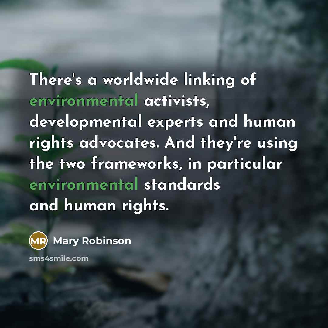 “There's a worldwide linking of environmental activists, developmental experts and…” quote by Mary Robinson