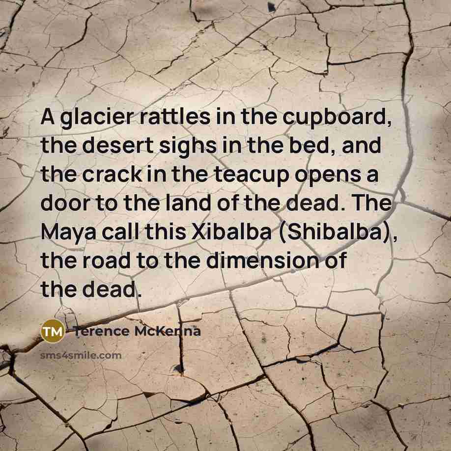 “A glacier rattles in the cupboard, the desert sighs in…” quote by Terence McKenna