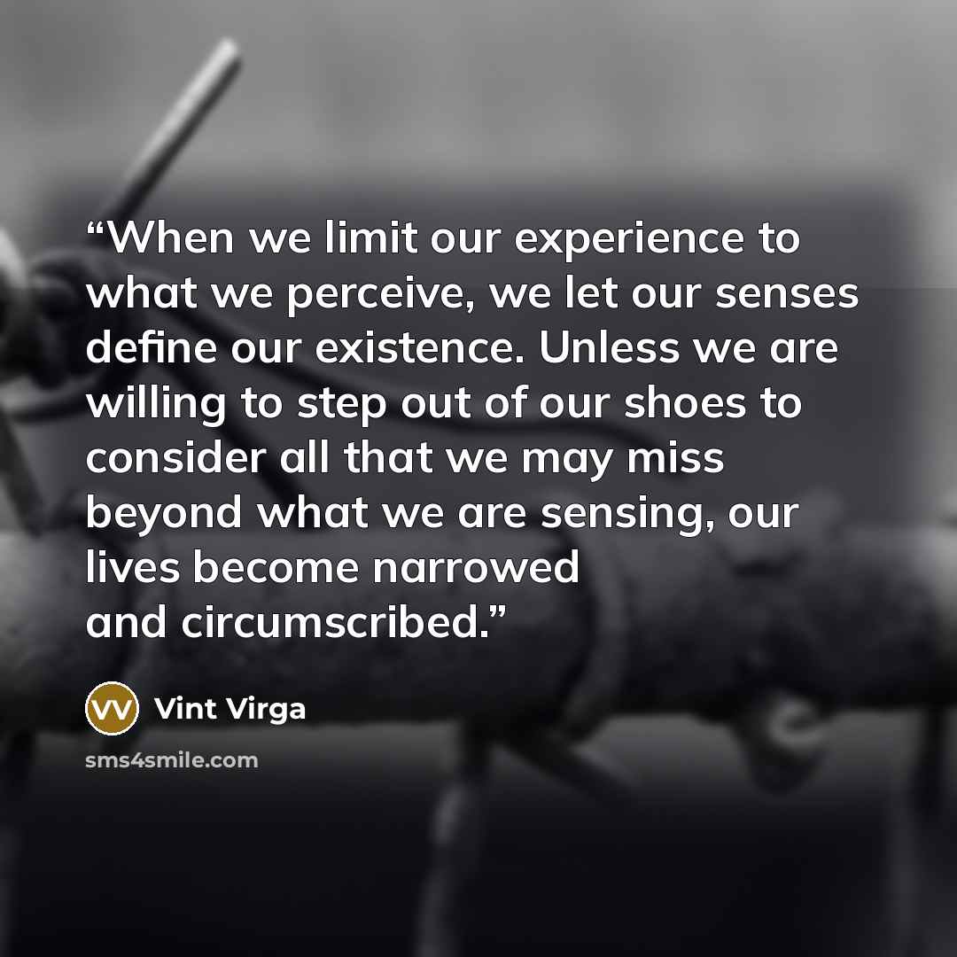 “When we limit our experience to what we perceive, we let our senses define our existence. Unless we are willing to step out of our shoes to consider all that we may miss beyond what we are sensing, our lives become narrowed and circumscribed.” quote by Vint Virga