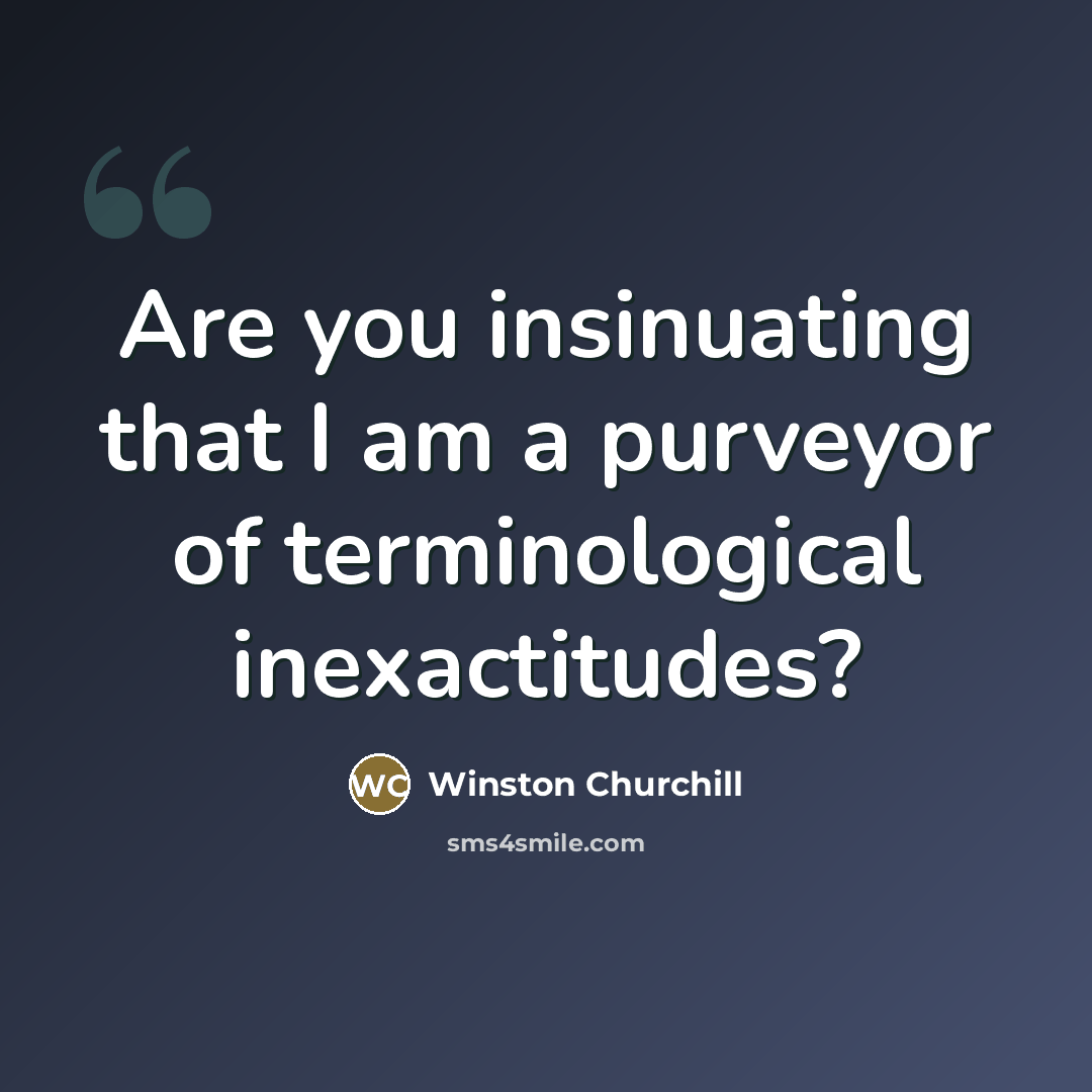 “Are you insinuating that I am a purveyor of terminological…” quote by Winston Churchill