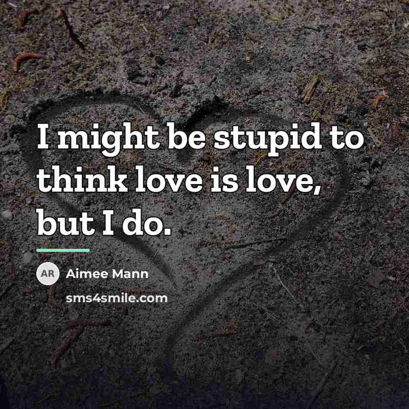 “I might be stupid to think love is love, but…” quote by Aimee Mann