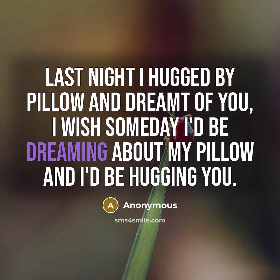 “Last night I hugged by pillow and dreamt of you,…” quote by Anonymous