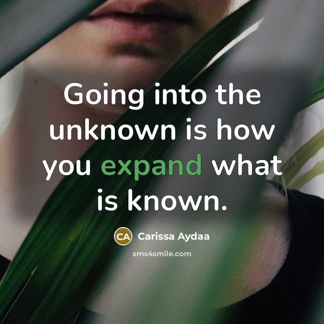 “Going into the unknown is how you expand what is known.” quote by Carissa Aydaa