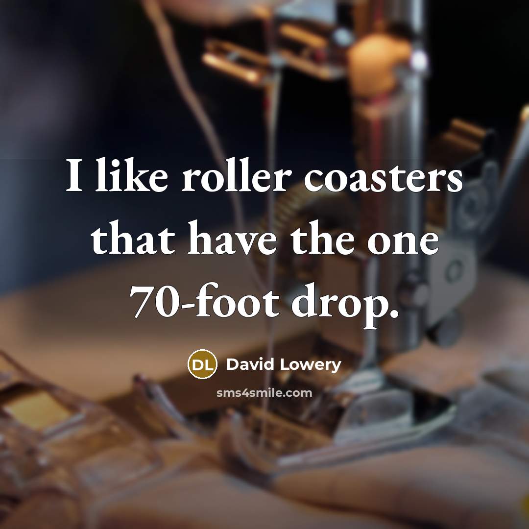 “I like roller coasters that have the one 70-foot drop.” quote by David Lowery