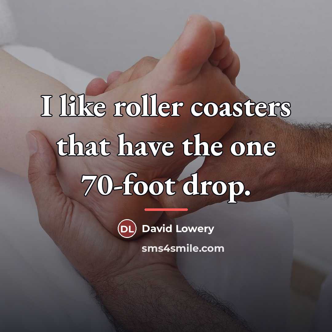 “I like roller coasters that have the one 70-foot drop.…” quote by David Lowery