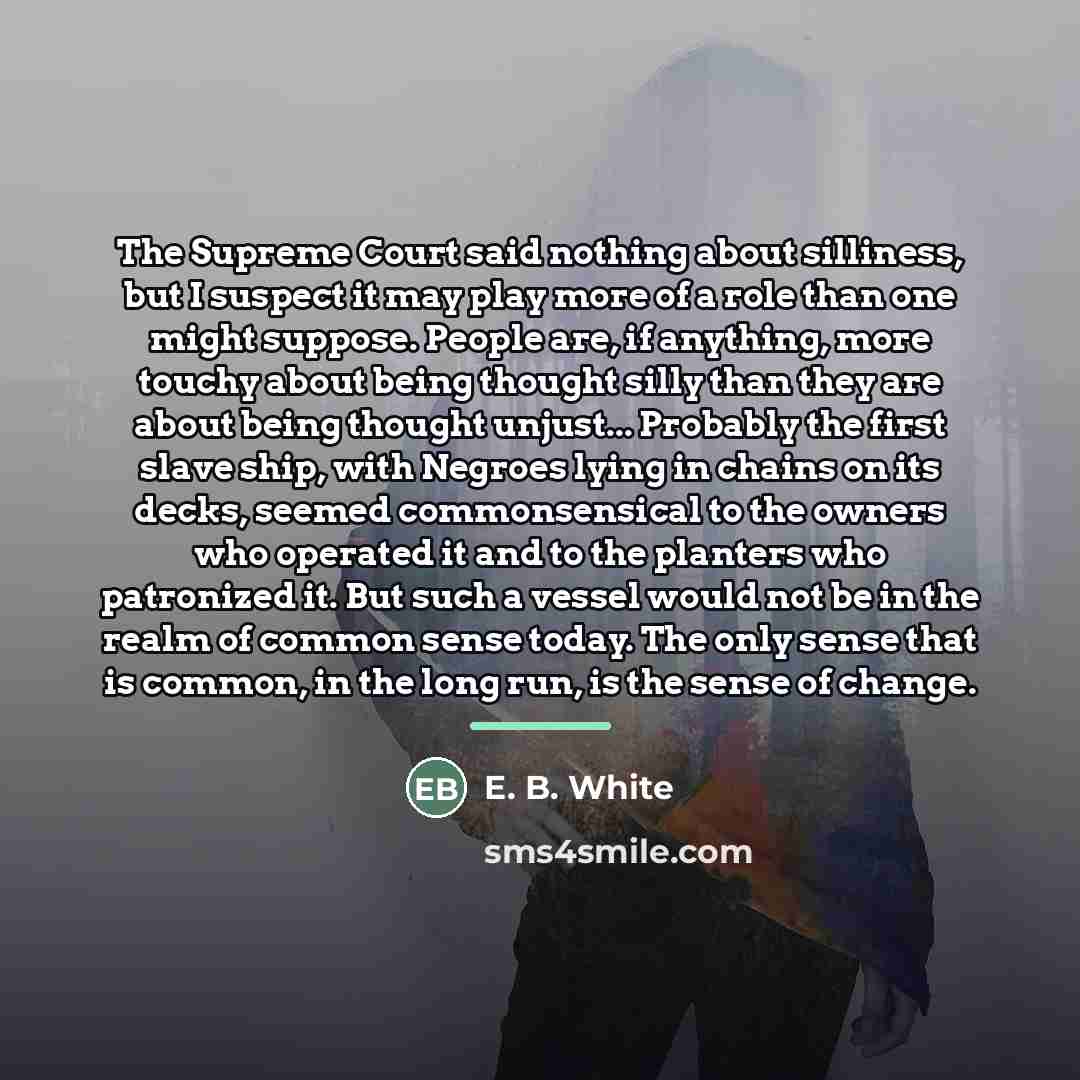 “The Supreme Court said nothing about silliness, but I suspect…” quote by E. B. White