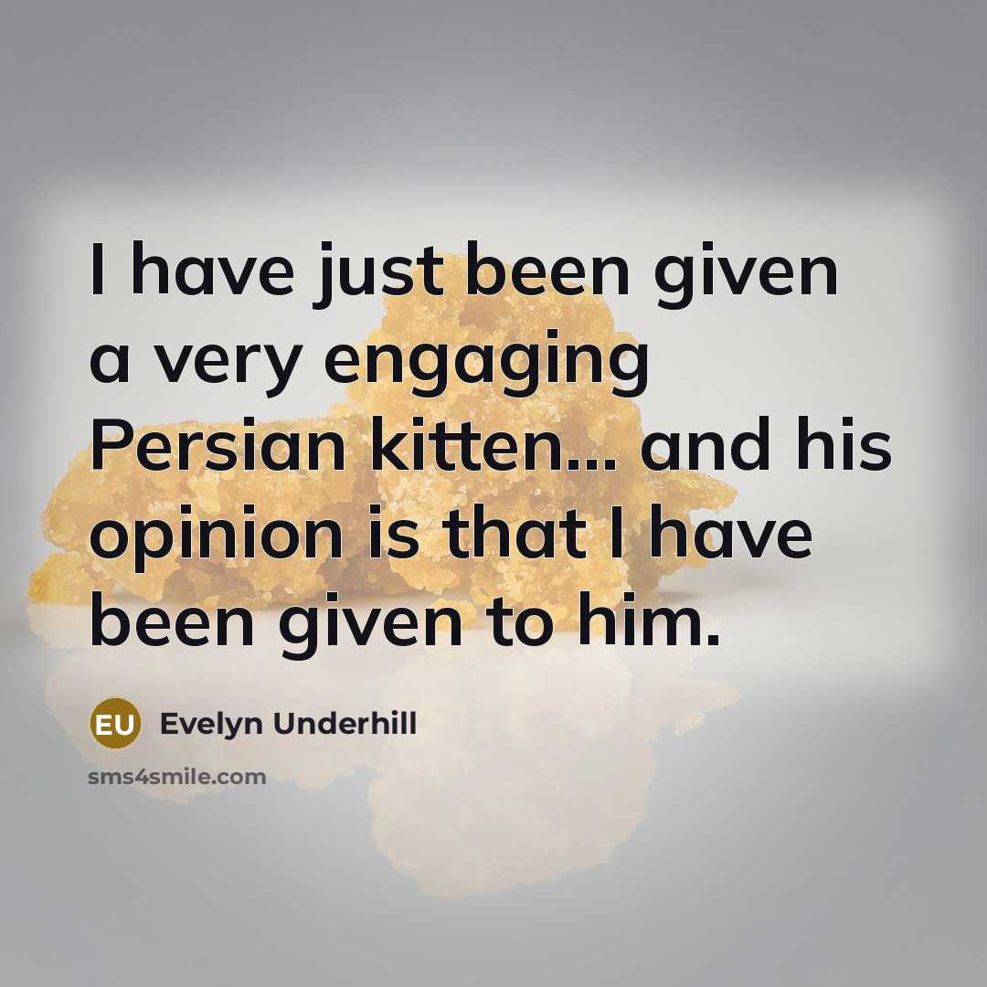 “I have just been given a very engaging Persian kitten...…” quote by Evelyn Underhill