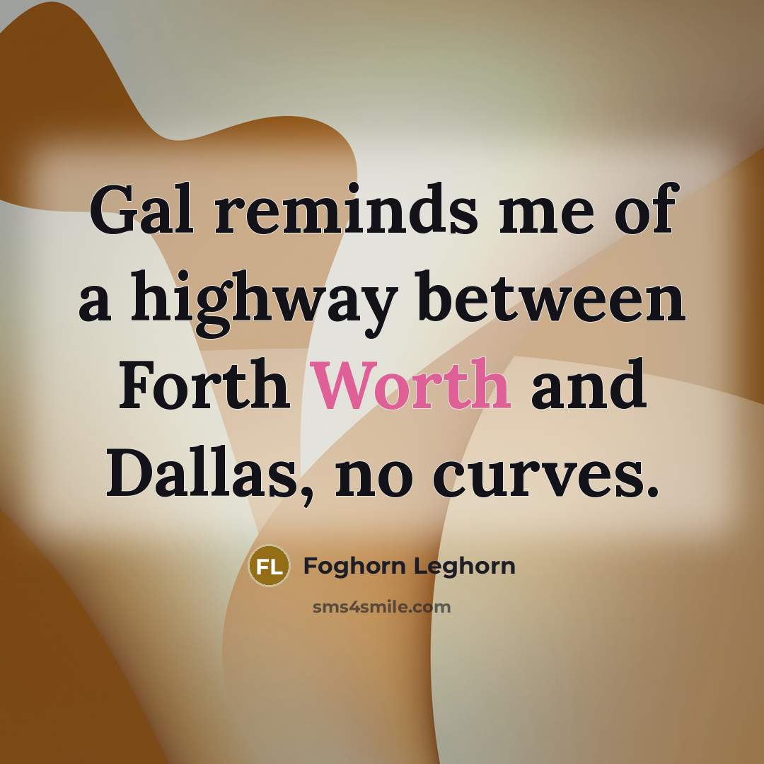 “Gal reminds me of a highway between Forth Worth and Dallas, no curves.” quote by Foghorn Leghorn