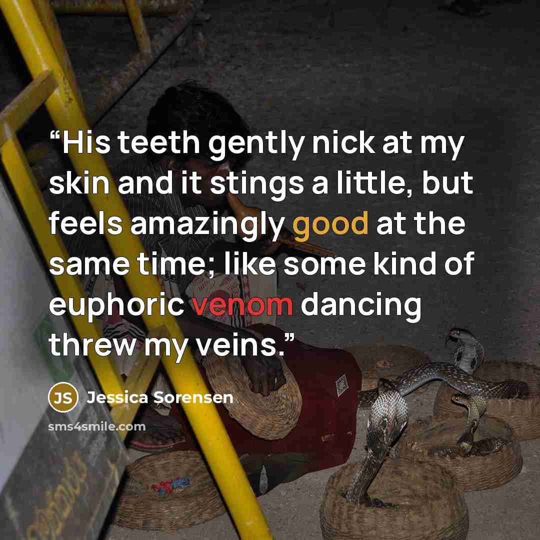“His teeth gently nick at my skin and it stings a little, but feels amazingly good at the same time; like some kind of euphoric venom dancing threw my veins.” quote by Jessica Sorensen