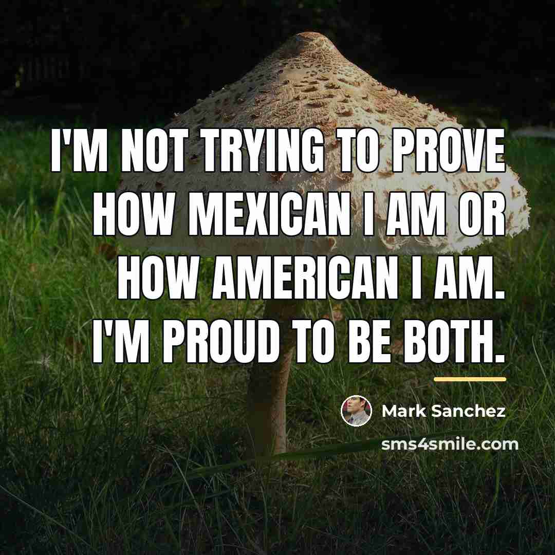 “I'm not trying to prove how Mexican I am or…” quote by Mark Sanchez