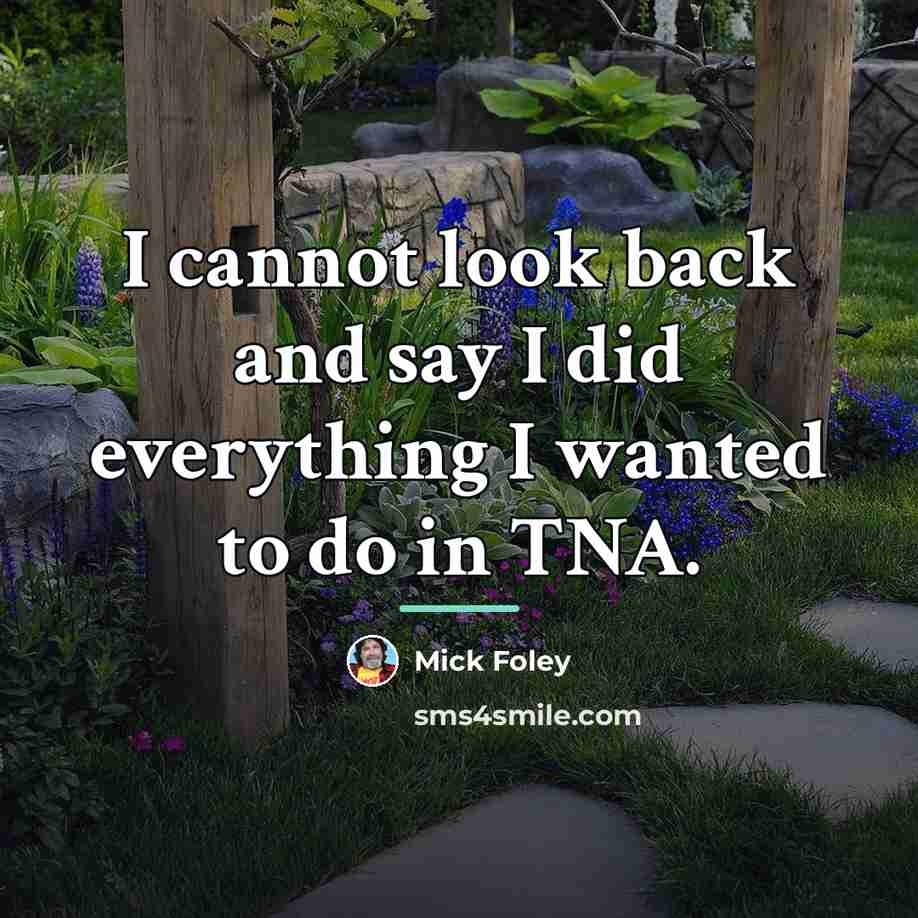 “I cannot look back and say I did everything I…” quote by Mick Foley