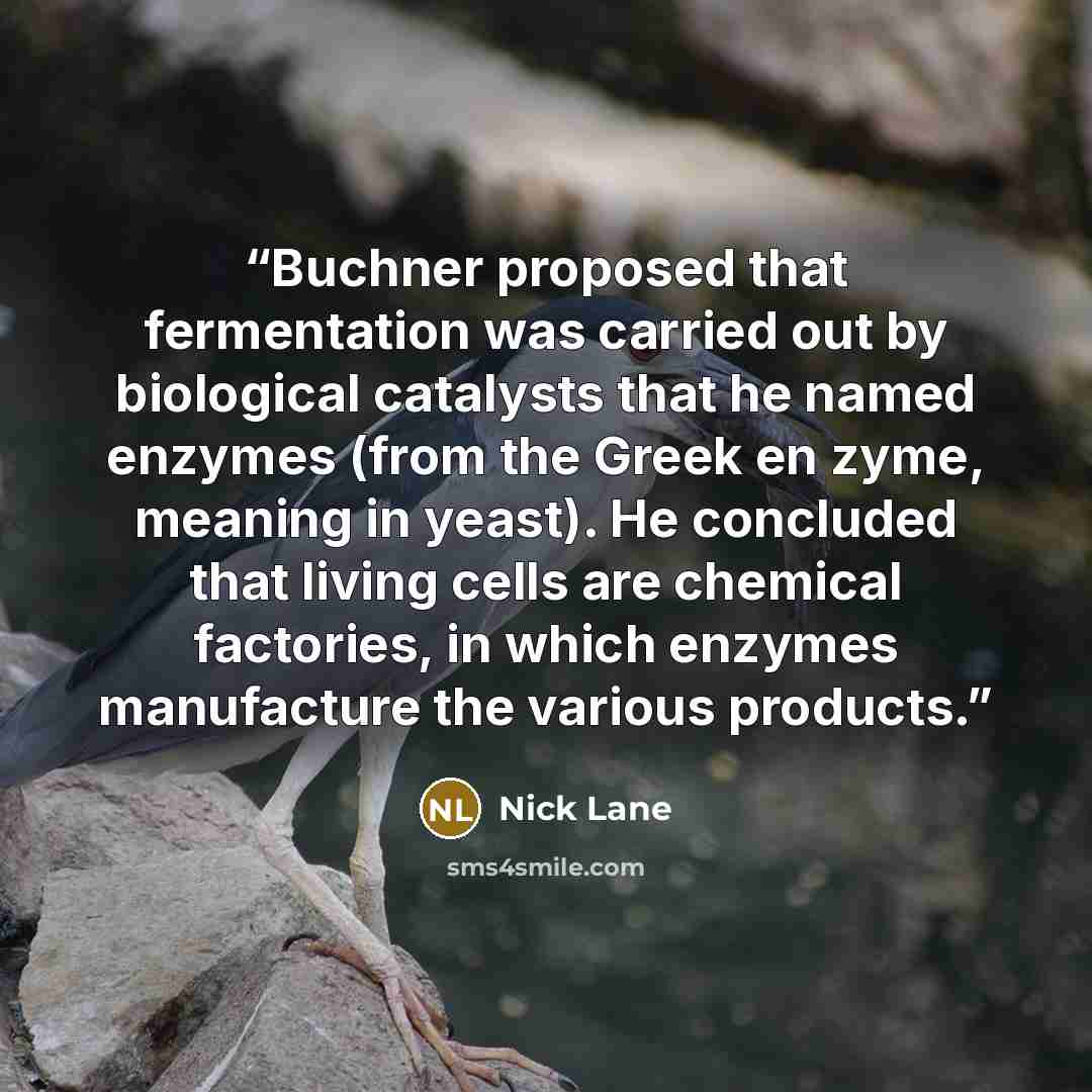 “Buchner proposed that fermentation was carried out by biological catalysts that he named enzymes (from the Greek en zyme, meaning in yeast). He concluded that living cells are chemical factories, in which enzymes manufacture the various products.” quote by Nick Lane