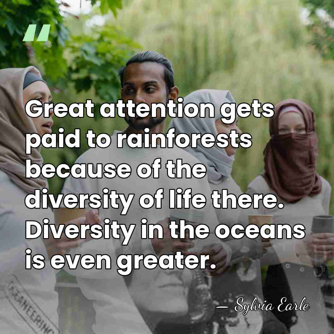 Great attention gets paid to rainforests because of the diversity of life&hellip; - Sylvia Earle