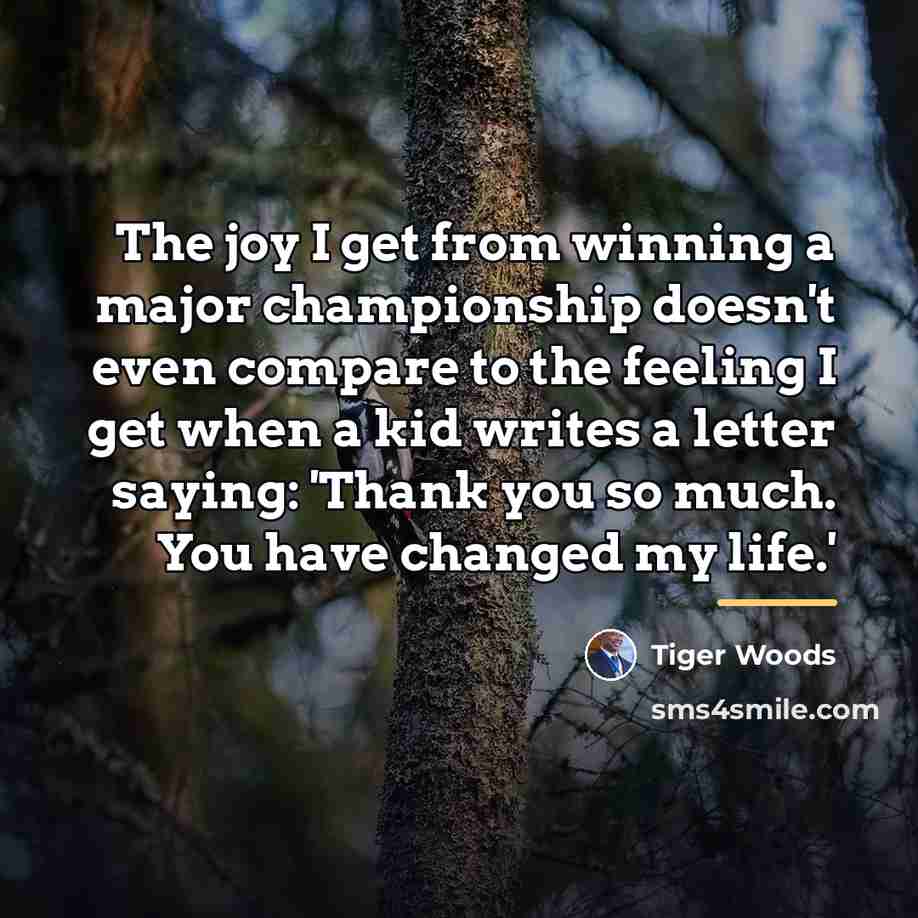“The joy I get from winning a major championship doesn't…” quote by Tiger Woods