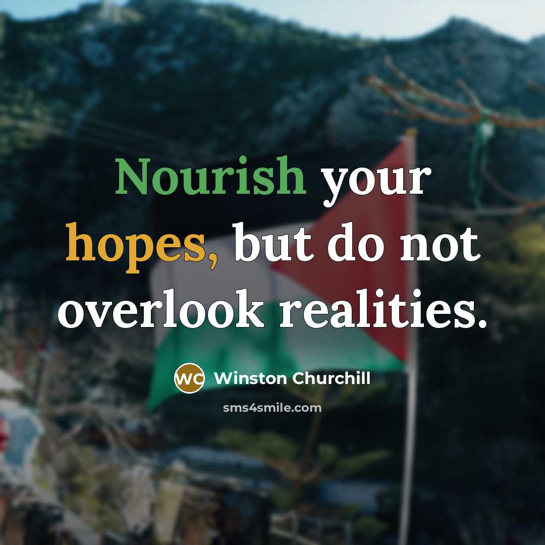 “Nourish your hopes, but do not overlook realities.…” quote by Winston Churchill
