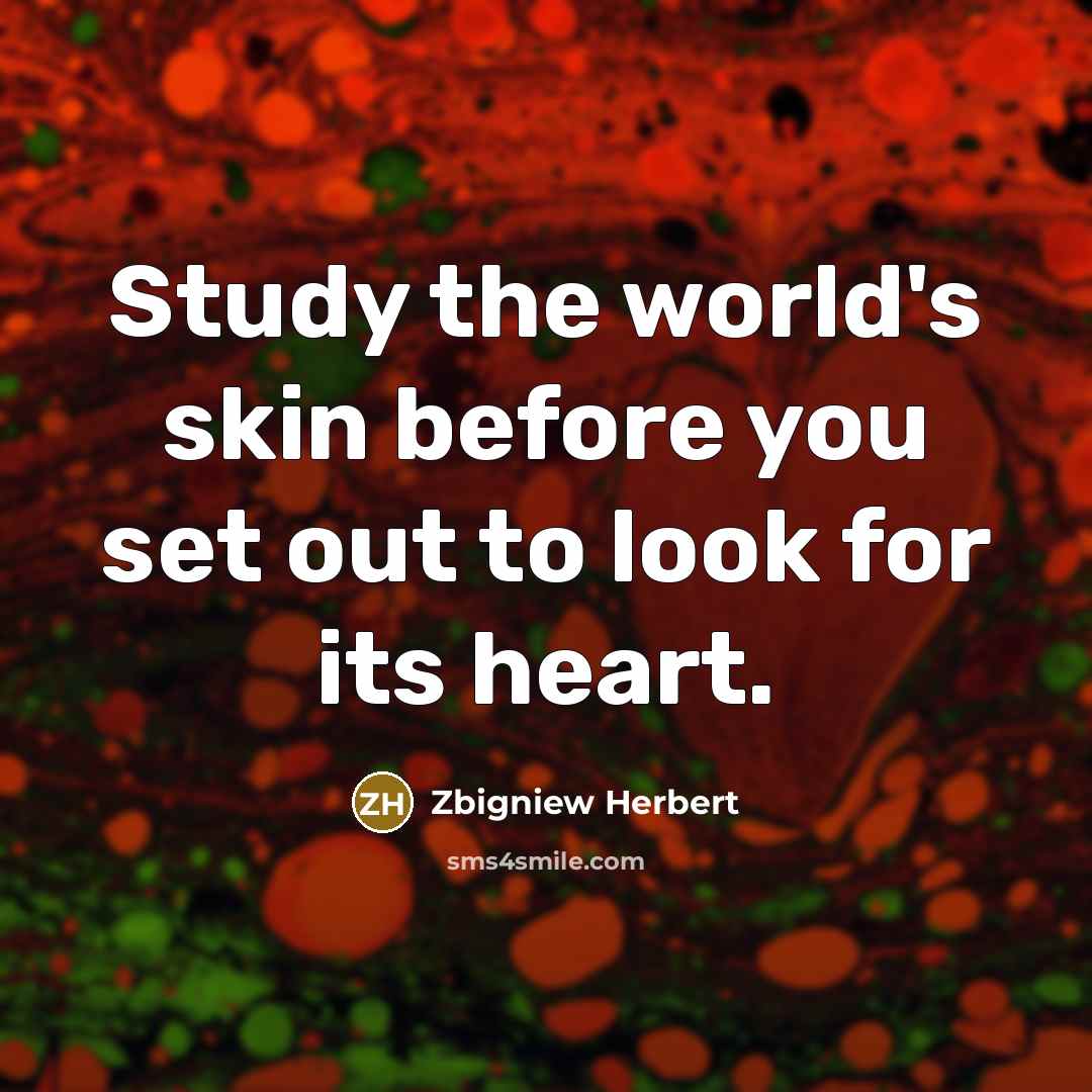 “Study the world's skin before you set out to look…” quote by Zbigniew Herbert