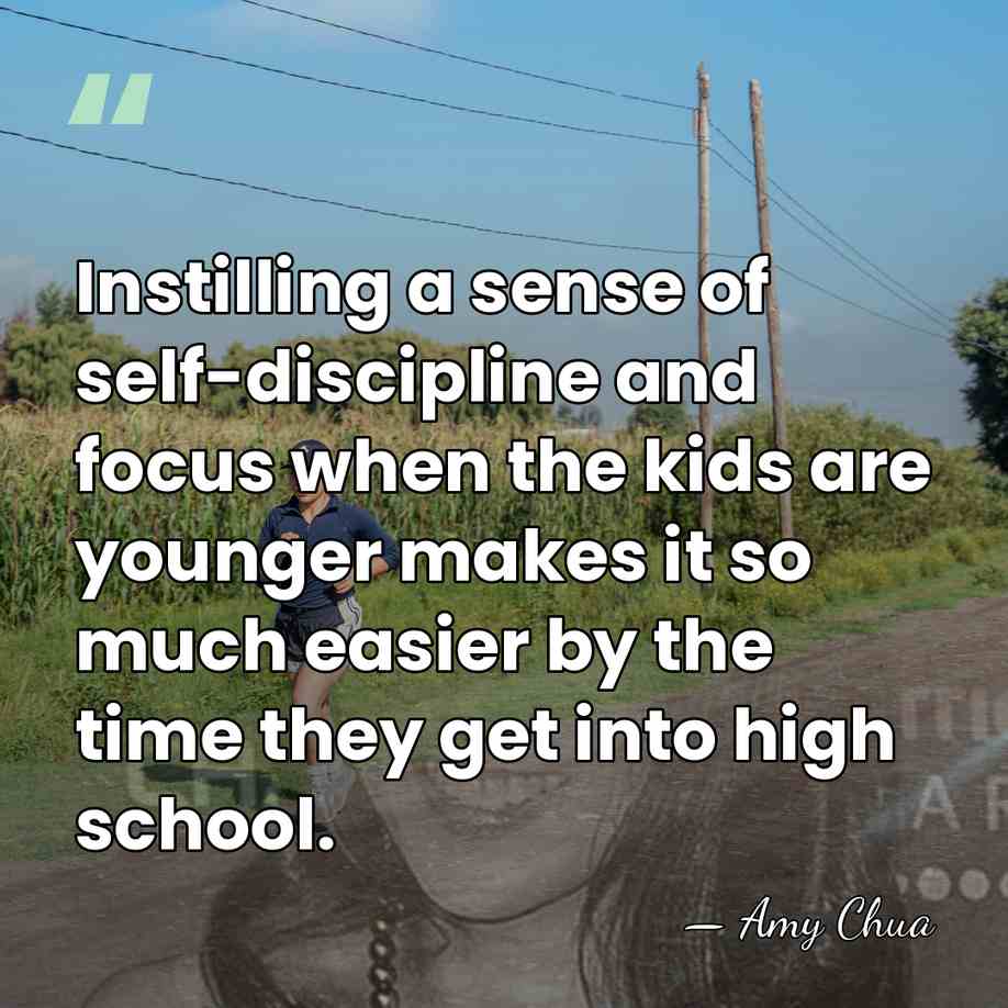 Instilling a sense of self-discipline and focus when the kids are younger&hellip; - Amy Chua