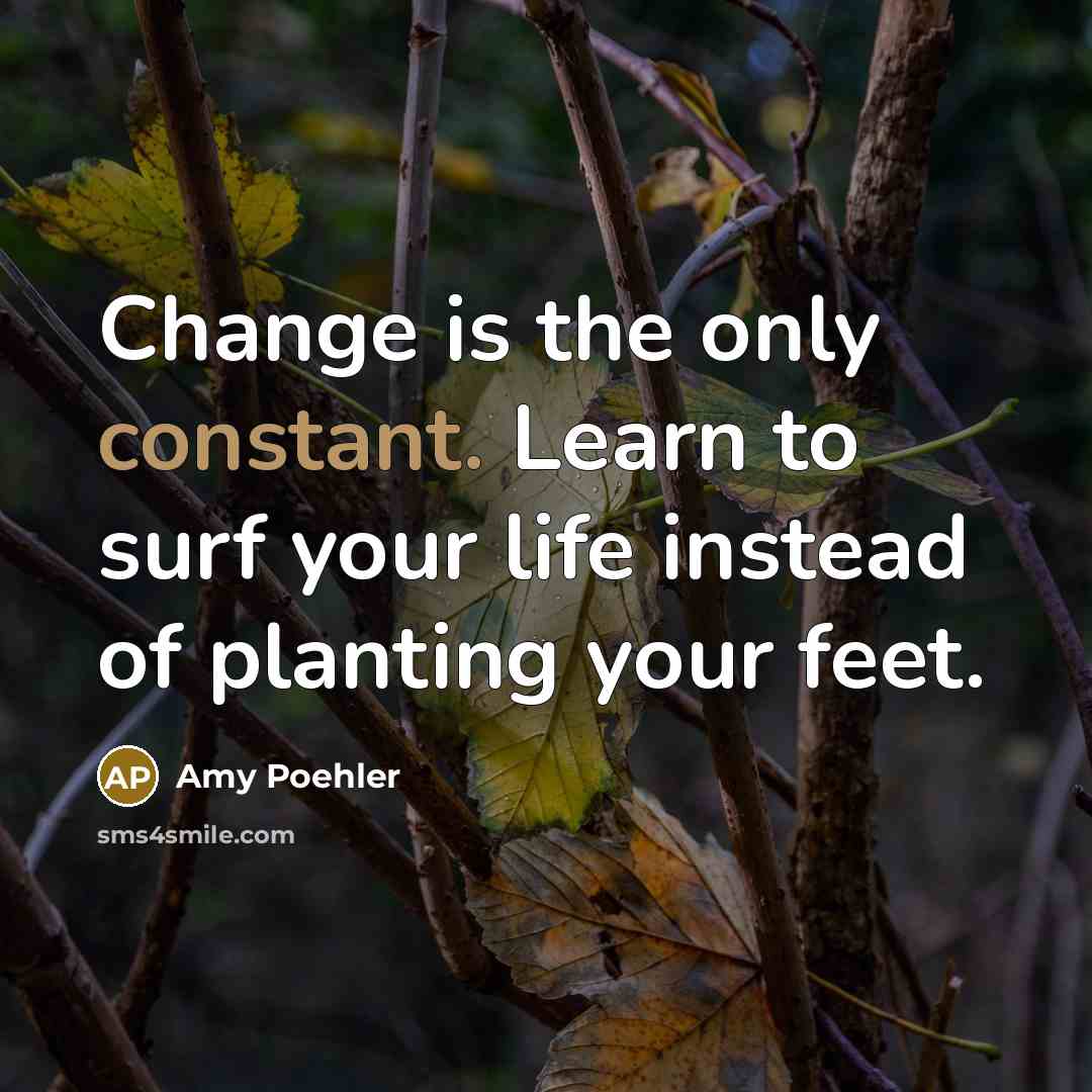 “Change is the only constant. Learn to surf your life…” quote by Amy Poehler
