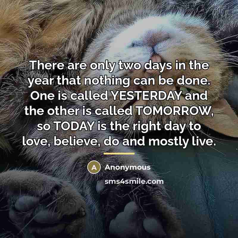 “There are only two days in the year that nothing…” quote by Anonymous