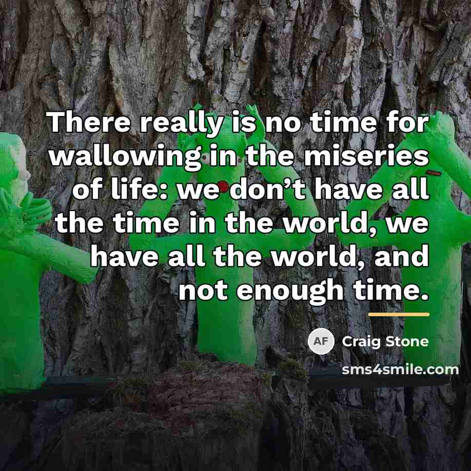 “There really is no time for wallowing in the miseries…” quote by Craig Stone