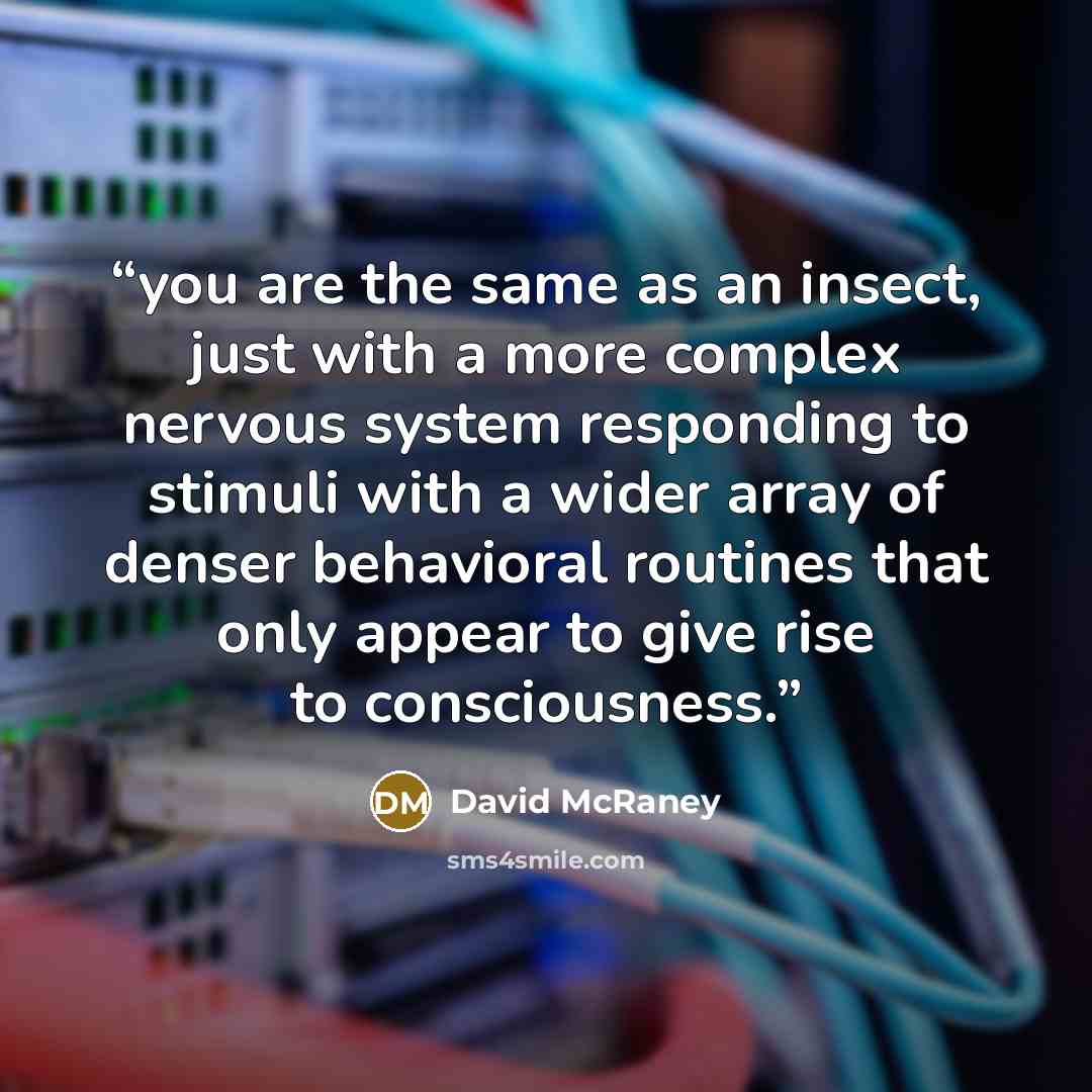 “you are the same as an insect, just with a more complex nervous system responding to stimuli with a wider array of denser behavioral routines that only appear to give rise to consciousness.” quote by David McRaney