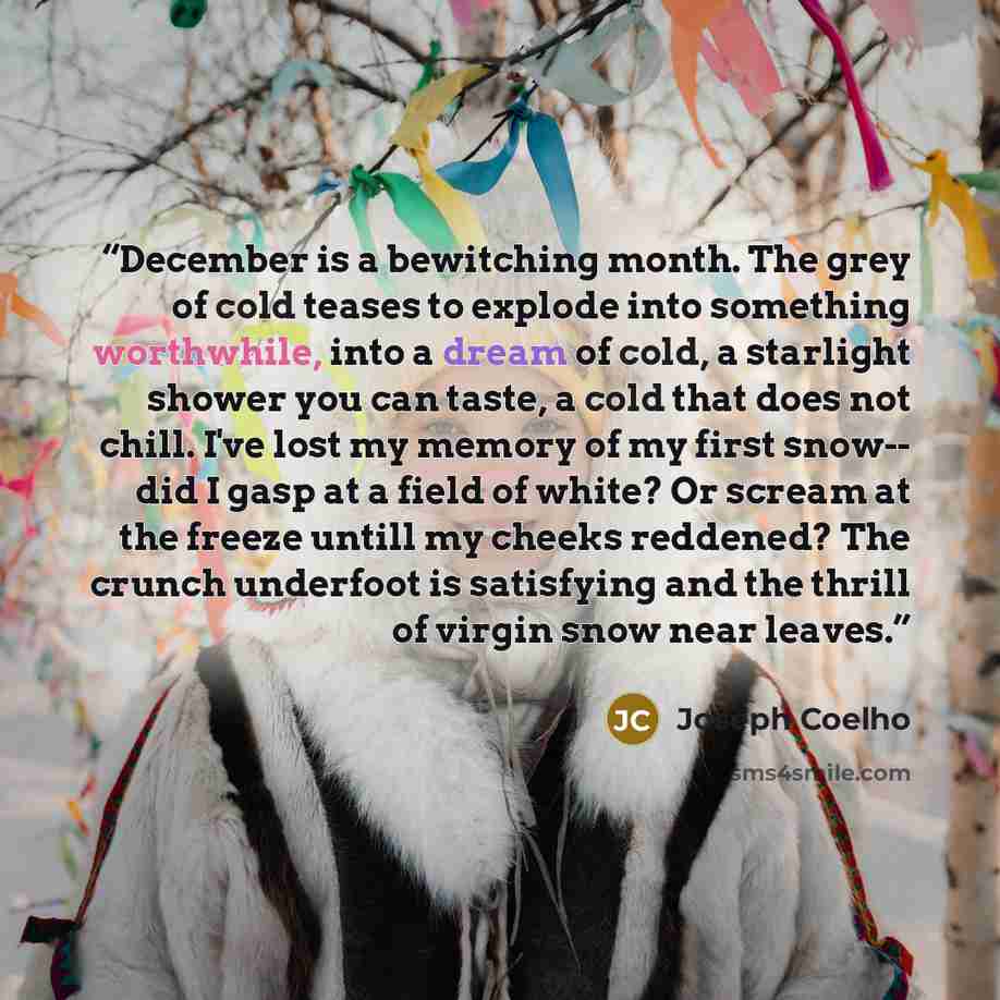 “December is a bewitching month. The grey of cold teases to explode into something worthwhile, into a dream of cold, a starlight shower you can taste, a cold that does not chill. I've lost my memory of my first snow-- did I gasp at a field of white? Or scream at the freeze untill my cheeks…” quote by Joseph Coelho