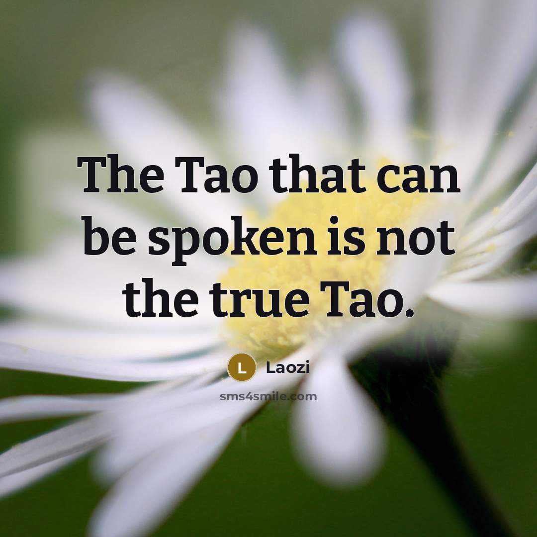 “The Tao that can be spoken is not the true Tao.” quote by Laozi