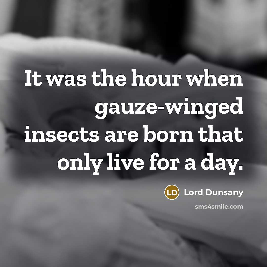 “It was the hour when gauze-winged insects are born that…” quote by Lord Dunsany