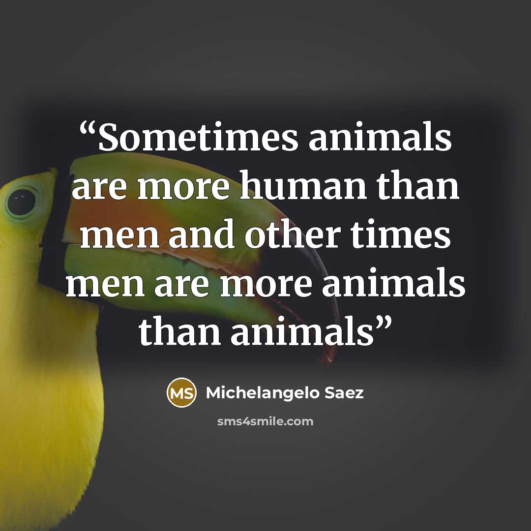 “Sometimes animals are more human than men and other times men are more animals than animals” quote by Michelangelo Saez