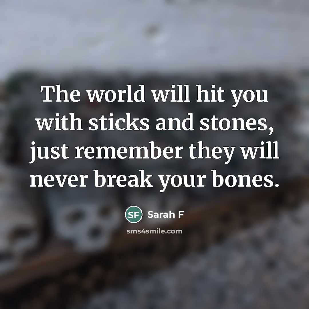 “The world will hit you with sticks and stones, just…” quote by Sarah F